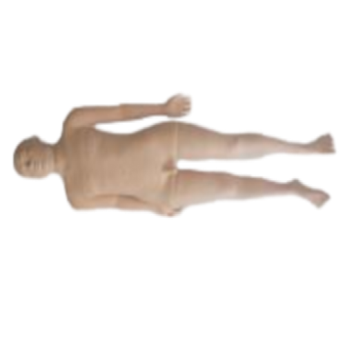 全功能中医模拟训练模型