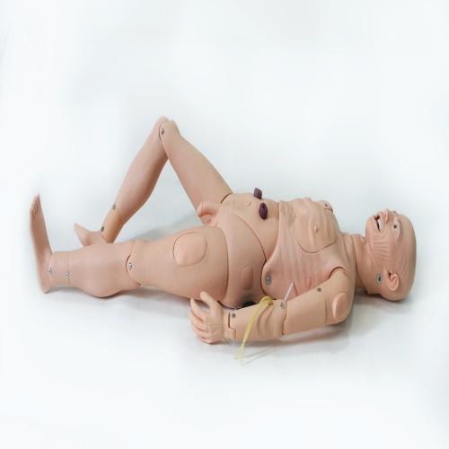 高级全功能老年护理人（男性）