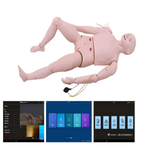 高级成人护理及CPR模型人（软件版）