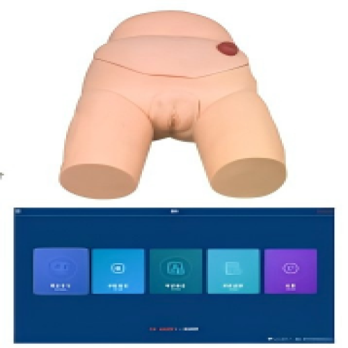 高级女性导尿模型(软件版)