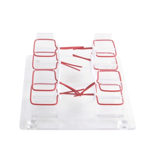 浅表打结技能训练模型