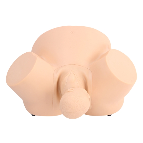 高级助产训练模型