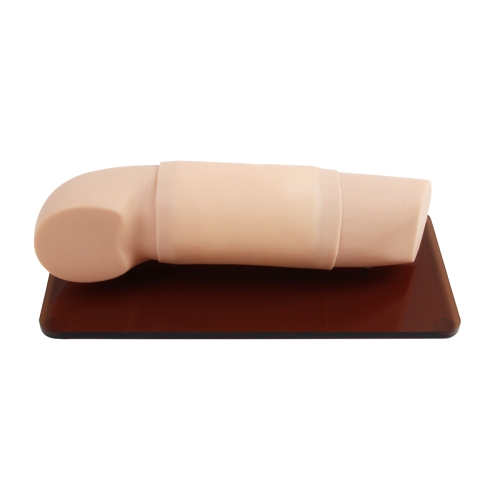 高级皮下埋入避孕练习手臂模型