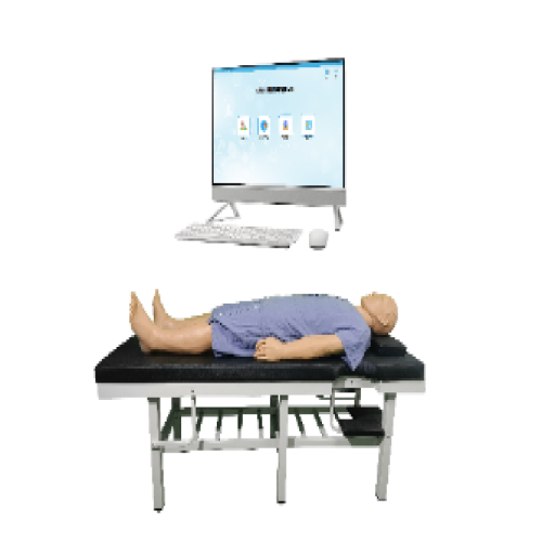 全身穴与针灸实结合训练系统