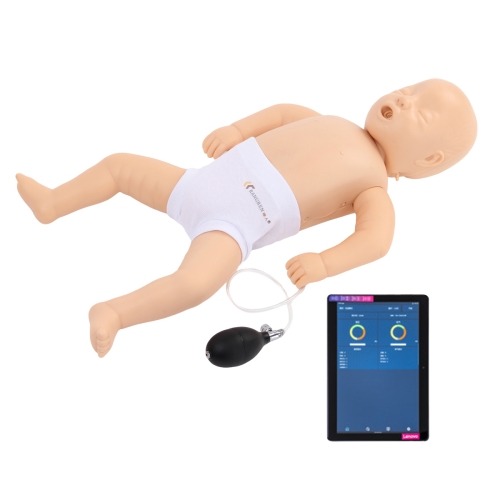 高级婴儿心肺复苏模拟人
