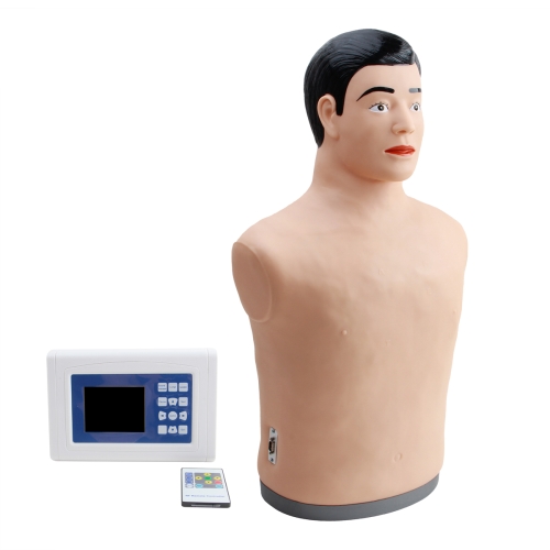 数字遥控式心肺听诊触诊模拟人（单机版）