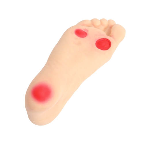  高级糖尿病足护理模型