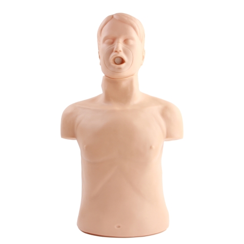 高级成人气道梗塞及CPR模型