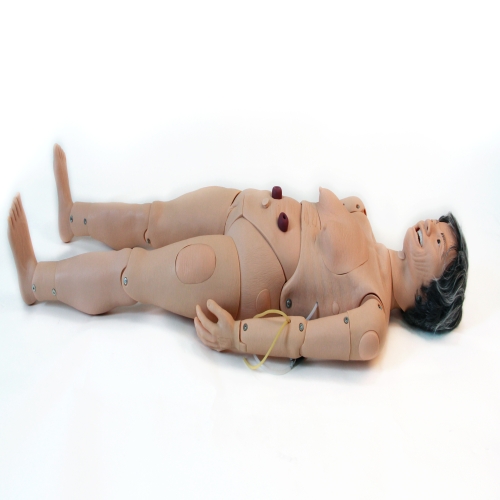 高级全功能老年护理人（女性）