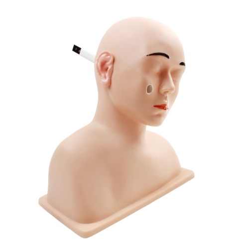 高级耳诊断模型