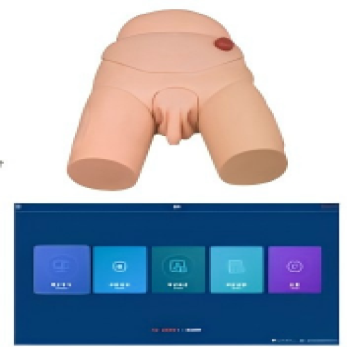 高级男性导尿模型(软件版)