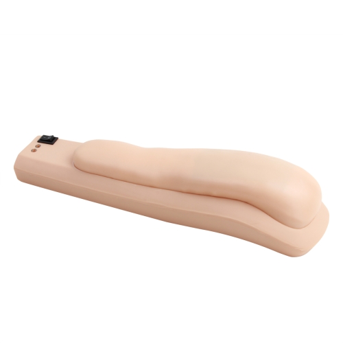 高级电子上臂肌肉注射训练模型