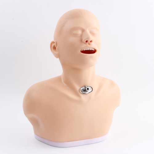 高级成人气管切开护理模型