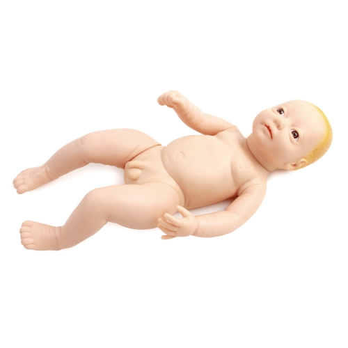 高级出生婴儿模型