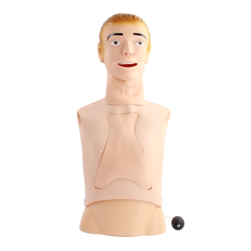 高级鼻饲管与气管护理模型